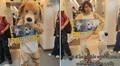 Peruana sube al Metro de Lima para encontrar a su perrita perdida hace 2 años: "No pierdo la fe"
