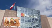 Caso 'capibara' en Indecopi: ¿es legal que una empresa registre su marca con el nombre de un animal? Esto dijo un especialista