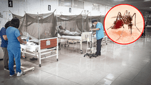 Crece el número de casos y decesos por dengue en las regiones