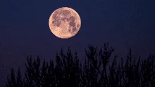 ¿En qué consiste la luna rosa de abril 2025? Descubre si este fenómeno astronómico será visible en Perú