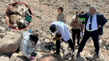 Investigan hallazgo de doce cráneos y otros restos óseos en Tacna