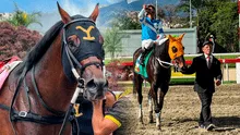 DATOS de última hora 5y6 La Rinconada HOY EN VIVO, 11 de mayo: resultados y pronósticos de Gaceta Hípica, Línea Brava y Fusión Hípica