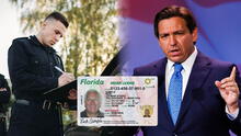 Esta es la ley firmada por Ron DeSantis que ordena a un oficial de Florida detener a un conductor si hace esto mientras maneja