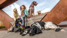 Día mundial del perro sin raza: Tenencia responsable y salud preventiva, claves para evitar el abandono de mascotas
