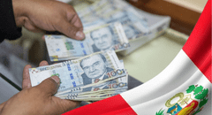 Calculadora de Gratificación 2025 en Perú