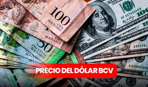 Precio del dólar BCV hoy, 21 de mayo: consulta la tasa del dólar, vía Banco Central de Venezuela