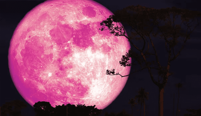 La Luna Rosa de 2025 será podrá ver en su punto máximo el 13 de abril. Foto: IStock