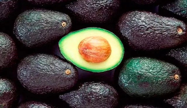 La FDA sugiere una porción diaria de 50 gramos de palta, lo que equivale aproximadamente a un tercio de una palta mediana. Foto: Biocampo La FDA sugiere una porción diaria de 50 gramos de palta, lo que equivale aproximadamente a un tercio de una palta mediana. Foto: Biocampo
