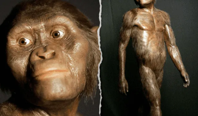 Lucy es catalogada como 'la madre de la humanidad'. Foto: composición LR/La República Lucy es catalogada como 'la madre de la humanidad'. Foto: composición LR/La República