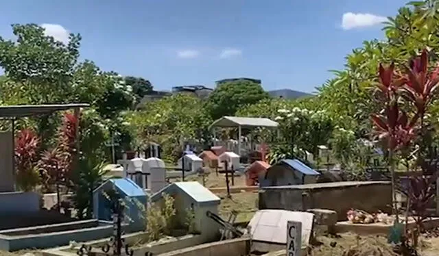 Tarapoto | cementerio Tarapoto | cementerio