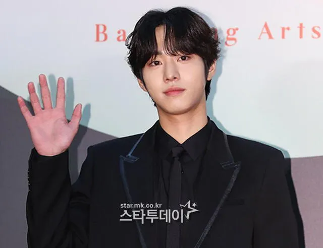 Ahn Hyo Seop en los Baeksang Arts Awards. Foto: Star Today Ahn Hyo Seop en los Baeksang Arts Awards. Foto: Star Today